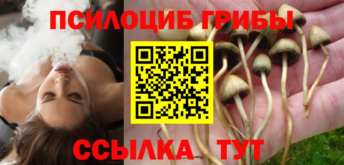 Галлюциногенные грибы Psilocybe  Псилоцибиновые грибы Magic Shrooms  Вход с VPN  где найти наркотики  Тихорецк 